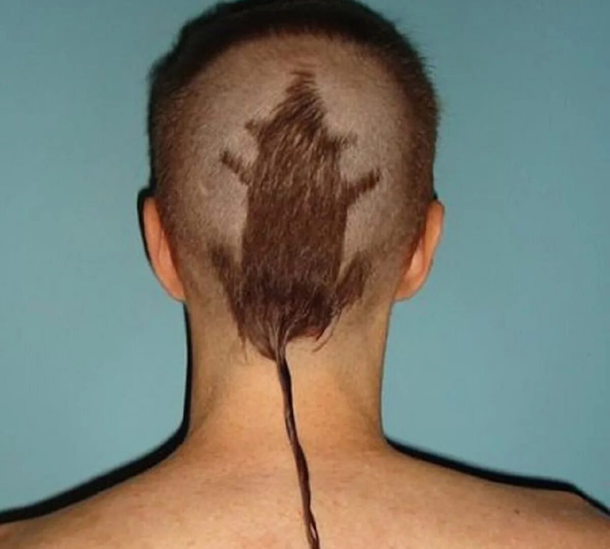 Фейд полубокс ежик. Фейд налысо. 5 мм на голове. Buzz cut mohawk стрижка. 5 мм на голове.