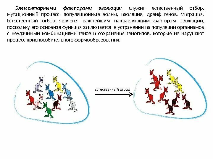 Миграции особей популяции. Миграции особей популяции