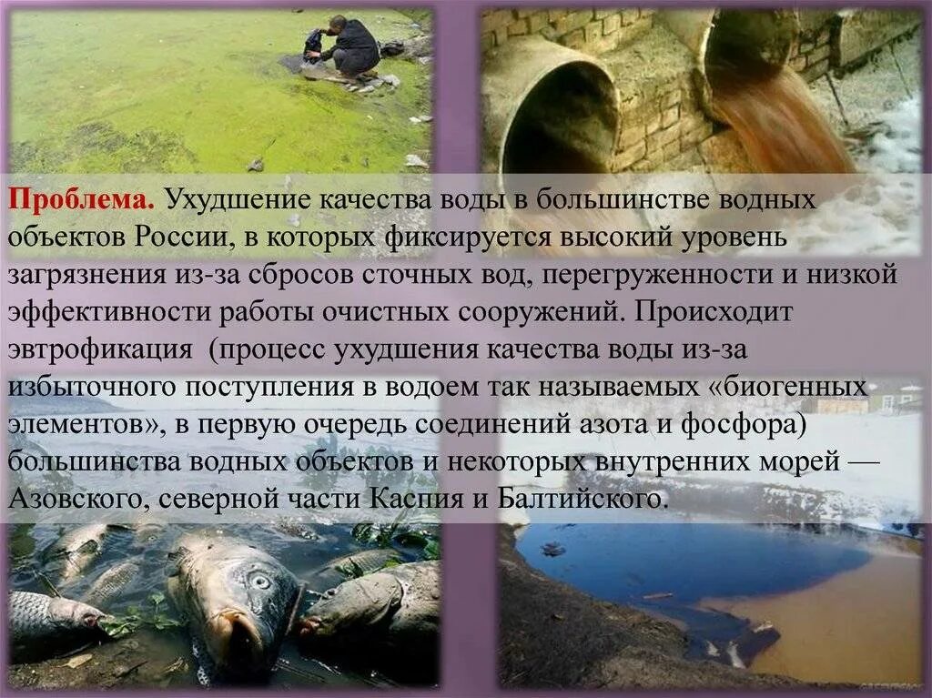 Проблема загрязнения водных ресурсов. Экологические проблемы. Загрязнение воды в России кратко. Экологические проблемы России загрязнение воды. Изменилось качество воды