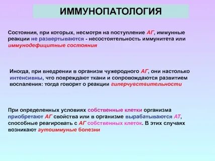 Иммунопатология это