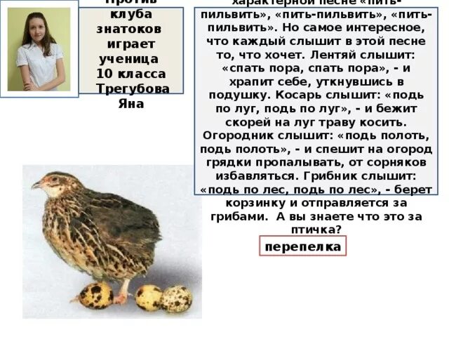 Какая птица издает пить полоть. Птица издает пить полоть. птица которая выдает свое присутствие песенкой пить полоть. какая птица говорит пить полоть. какая птица издаёт звук пить полоть.