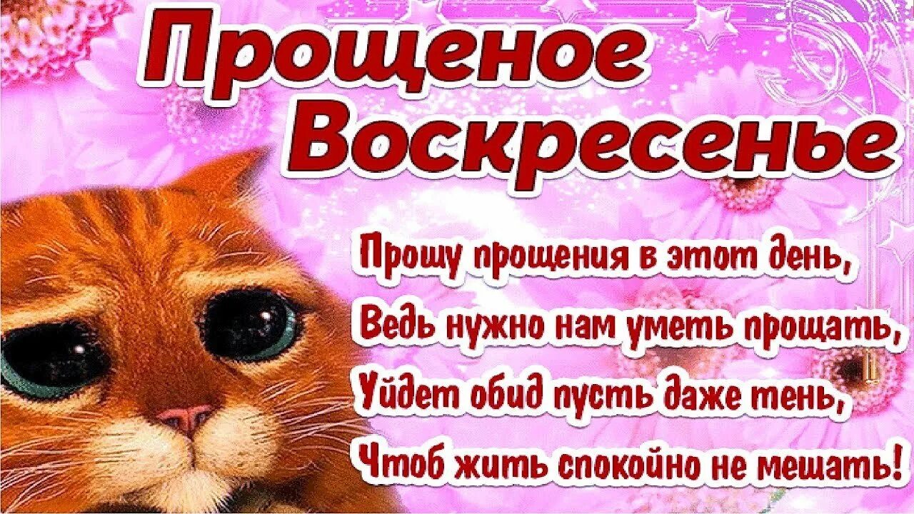 Просить прощения своими словами коротко. Прощенное воскресенье поздравления. с прощенным воскресеньем. веселые поздравления с прощенным воскресеньем. прошу прощения в прощенное воскресенье.