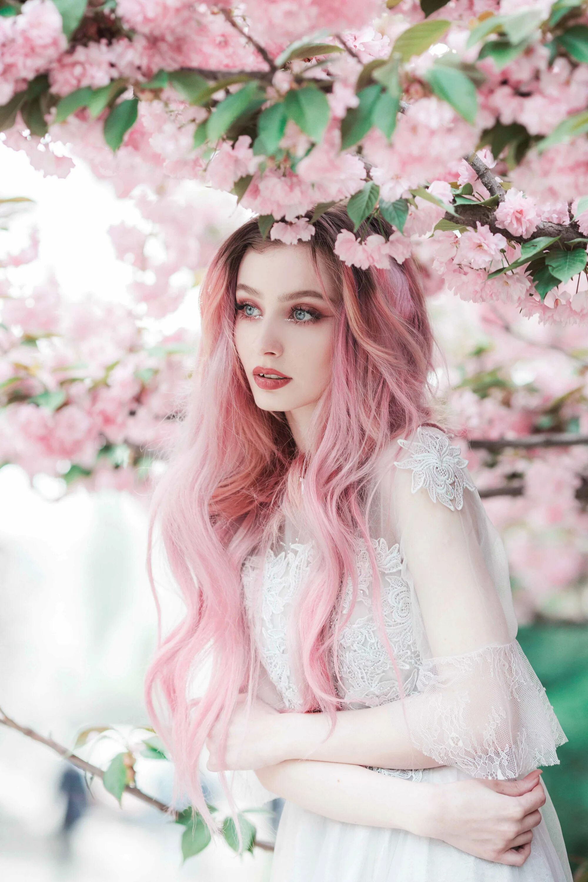 Розовое дерево волосы. Йована Рикало. Нежно розовые волосы. Красивые девушки с розовыми волосами. Девушка в розовых тонах.