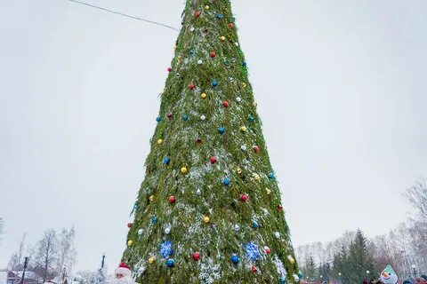 Чыршы чыршы без сине