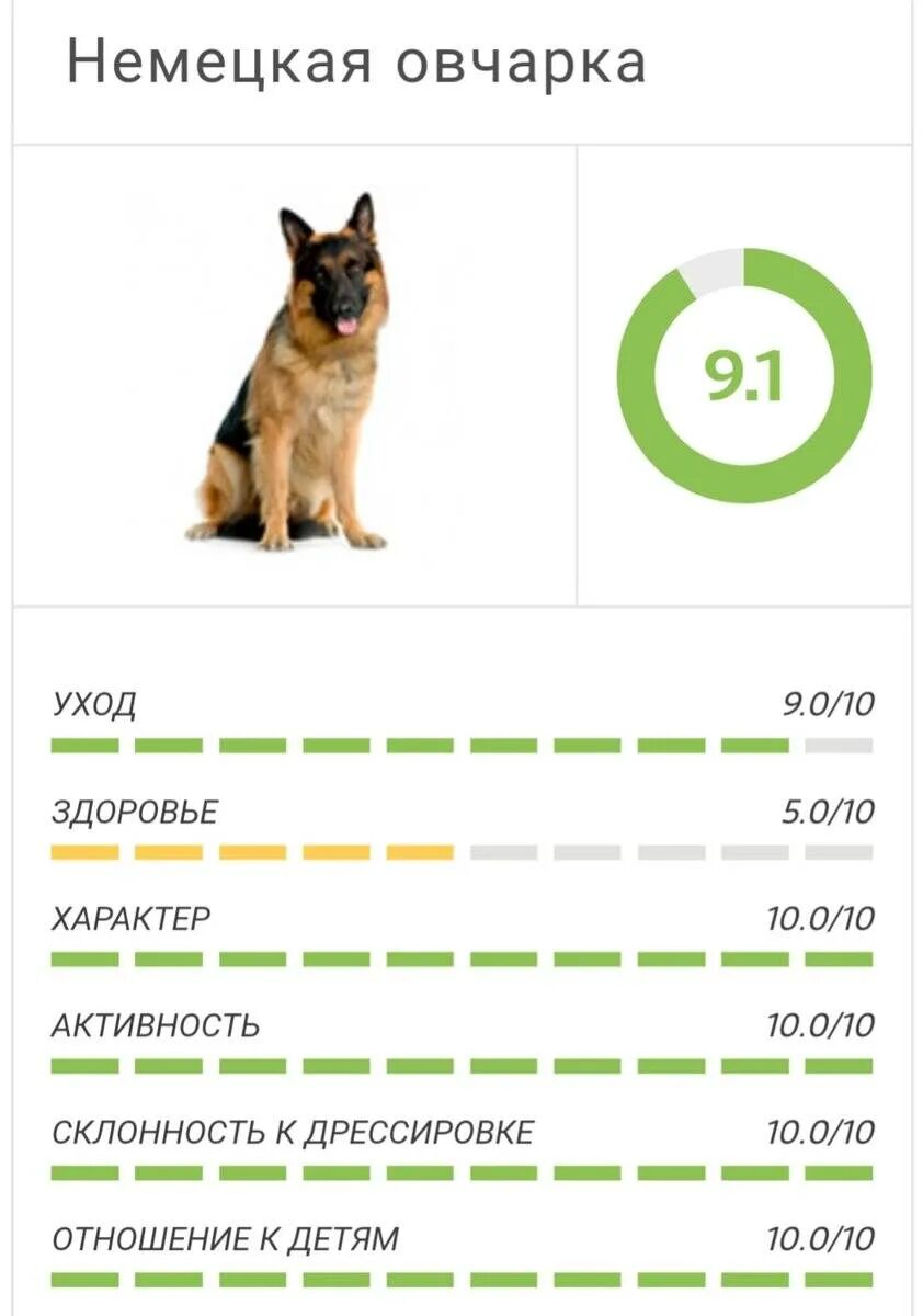 Таблица интеллекта пород собак. Рейтинг интеллекта пород собак. Список собак по уму. Список умных собак по интеллекту. Рейтинг умных пород