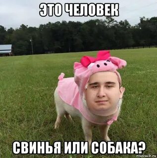Мужчин свинья женщина лошадь