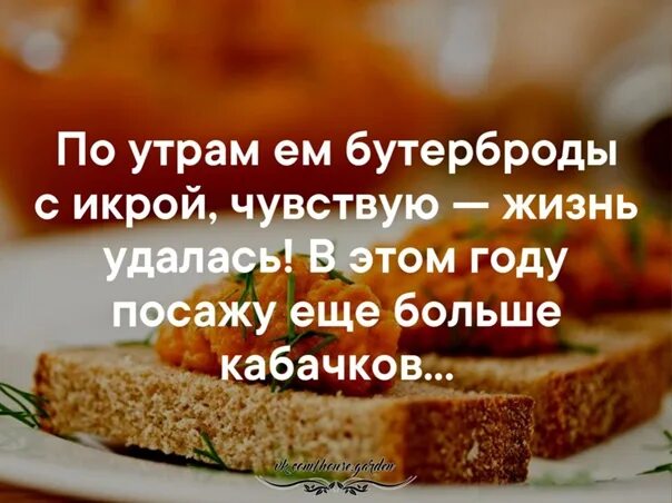 Испытать жизнь предложения. Жизнь удалась икра. Картинка по утрам ем бутерброды с икрой чувствую жизнь удалась. По утрам ем бутерброды с икрой чувствую жизнь удалась в следующий. Алиса людям которые болеют можно есть бутерброды.