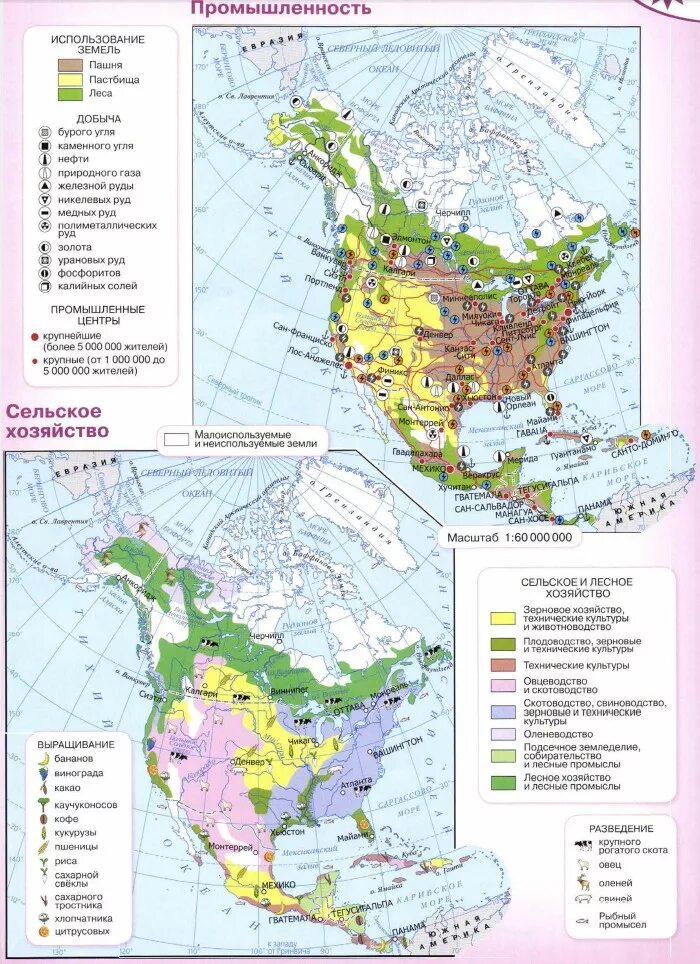 Карта Северной Америки 7 класс география атлас. Природные зоны Северной Америки 7 класс атлас. Атлас 7 класс география Северная Америка. Сельское хозяйство Северной Америки карта. Главные сельскохозяйственные районы сша