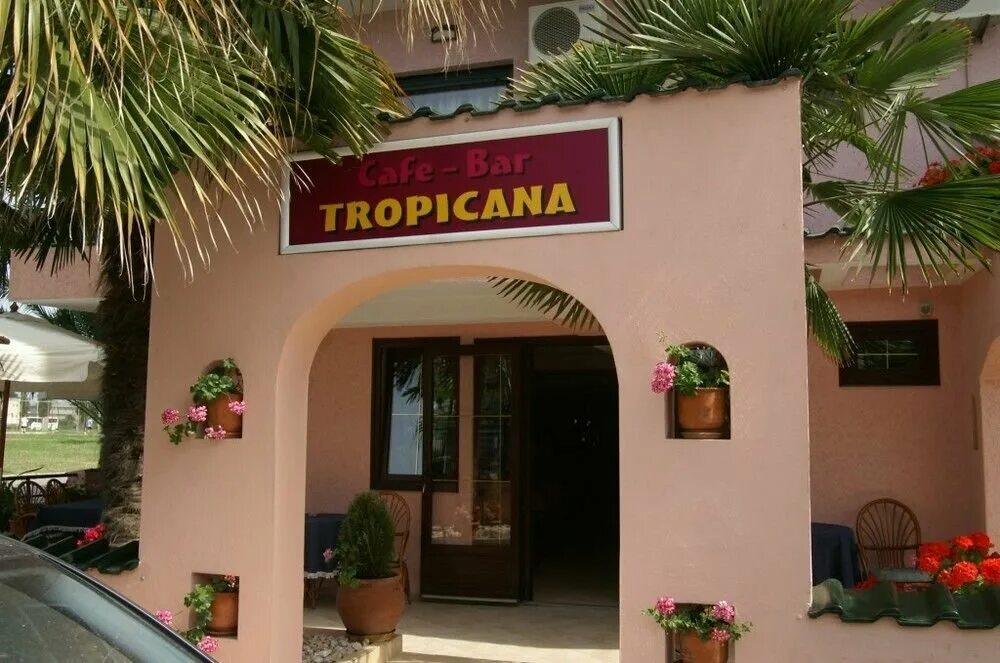 Паттайя тропикана отель. Тропикана город. Иберостар кала барка майорка. Tropicana 3* (центральная паттайя). Улицы тропических городов.