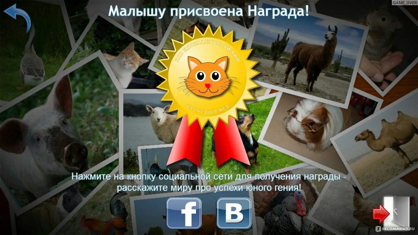 Малыш учит животных полная. Учим животных. Cleverbit малыш учит животных. Малыш учит животных. Cleverbit малыш учит животных.