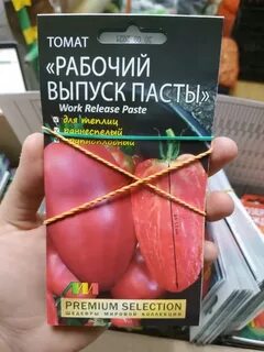 Рабочий выпуск пасты