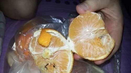 Червяки в мандаринах. Червяки в мандаринах. Черви в мандаринах опасны. Червяки в мандаринах. Мандарин внутри таблетки.