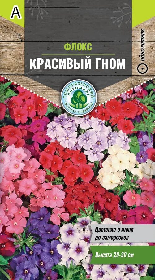 Цветок красивый гном. Флоксы Гном однолетние. Флокс однолетний красивый Гном. Флокс красивый Гном 0,2 г. Цветок Флокс красный Гном.