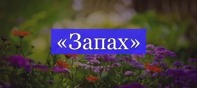 Как проверить слово запах. Запах разбор слова по составу. Разобрать слово по составу. Оаений морфологические рабор. Разбор слова по составу образец.