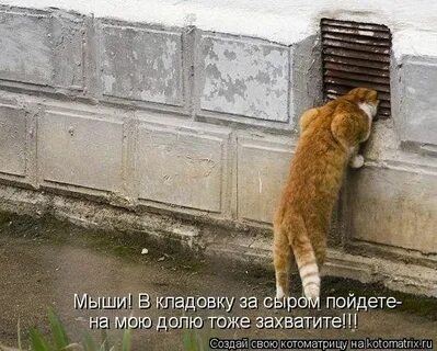 Не суй нос куда