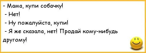 Чихуахуа мини. Чихуахуа мини. Чихуахуа босс. Папа купил песика с маленьким носиком. Пёсик миланы хаматовой.
