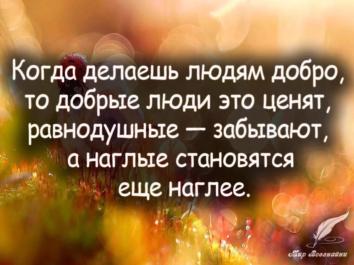 Если вы будете благодарны. Цитаты про добро. Цитаты добра. Добрые афоризмы. Добра афоризмы.