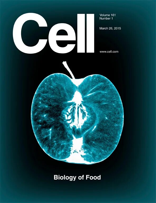 Сайт журнала биология. Scientific Journal Cell. Журнал nature обложки. Biology Journal. Джин Biology.