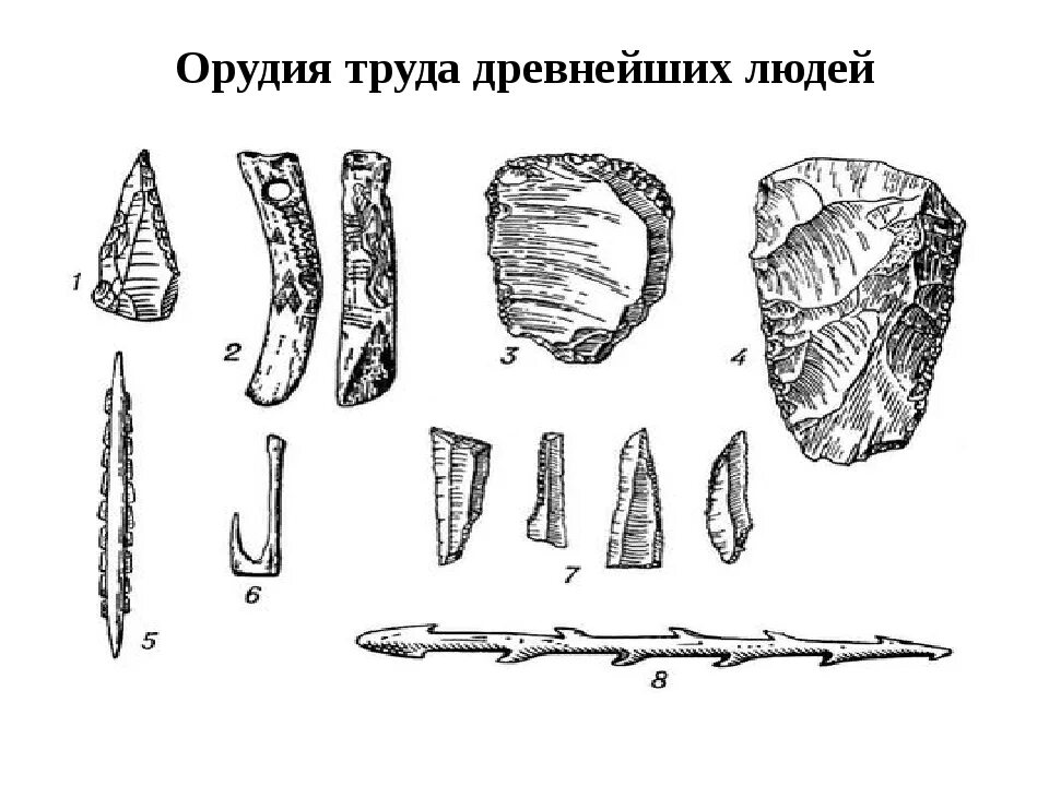 Какие орудия труда использовали. Орудия труда древних людей. Палеоантропы орудия труда. Эволюция орудия труда древних людей. Древние орудия Костенки.