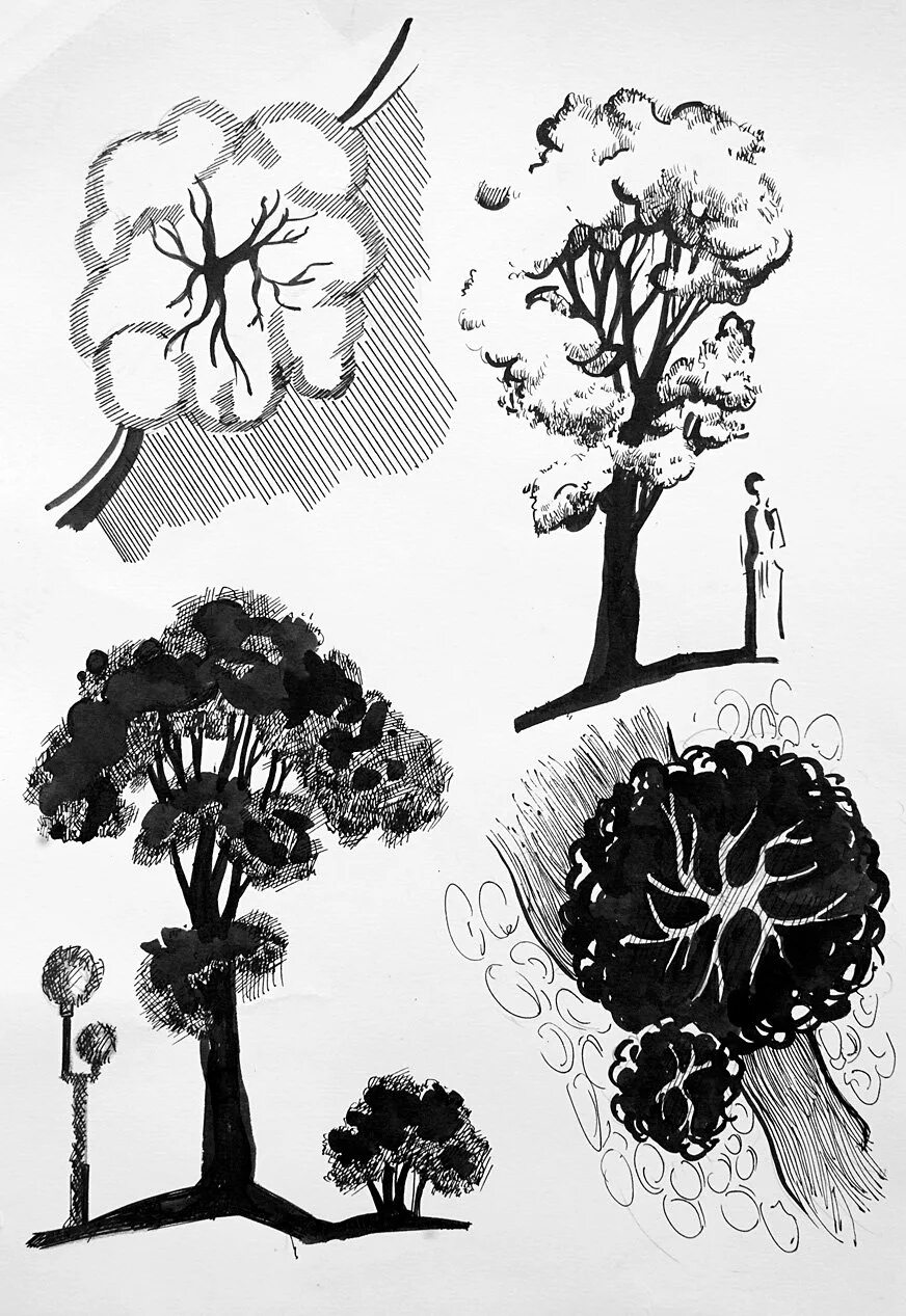 Природные формы дерева. Стилизованные деревья. Стилизованное дерево. Декоративное дерево Графика. Стилизация деревьев в графике.