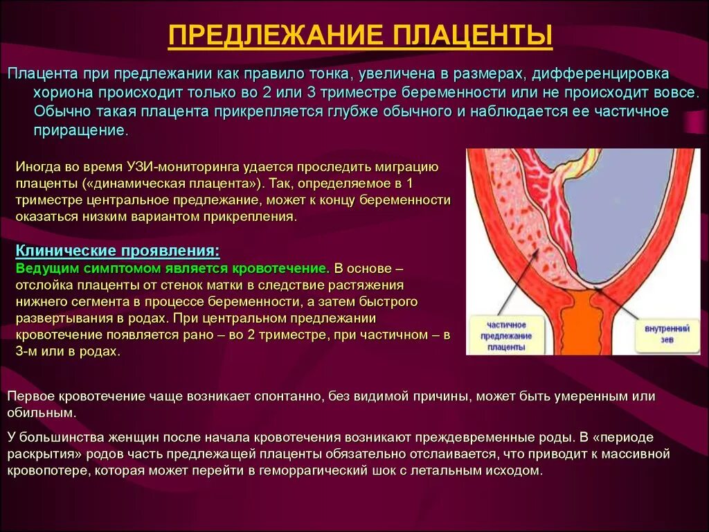 УЗИ при неполном предлежании плаценты. Неполное краевое предлежание плаценты. Клинический симптом предлежания плаценты. Предлежание плаценты боковое и краевое отличия. 13 неделе беременности плацента