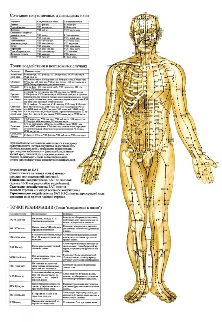 меридиан человека схема энергетических каналов. энергетические каналы и меридианы человека схема и направления. су джок энергетические точки. 12 меридианов человека атлас. энергетические меридианы человека китайская медицина.