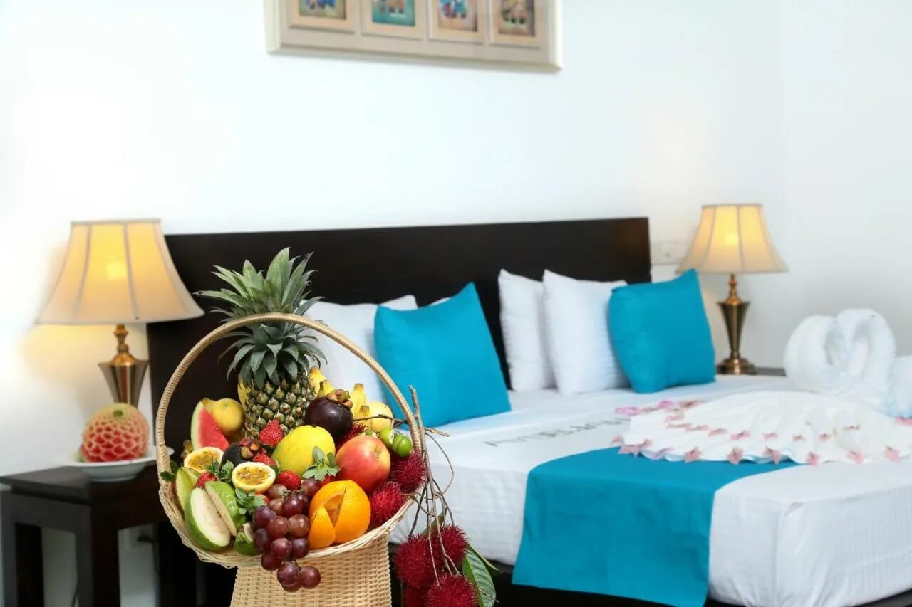 Coco Royal Beach 3*. Coco Royal Beach Шри Ланка. Coco Royal Beach Resort 4. Coco Royal Hotel Kalutara.