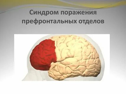 Поражение долей мозга