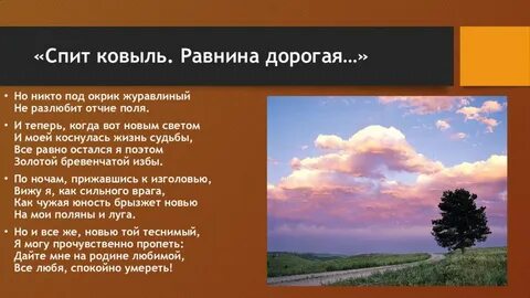 Стихотворение есенина равнина дорогая