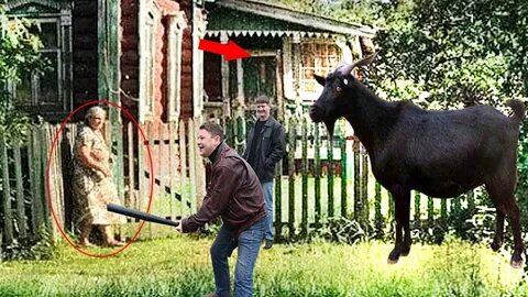 Козел спас