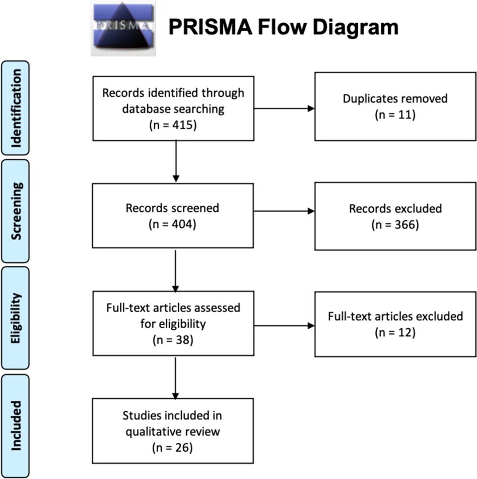 Prisma database. Prisma database