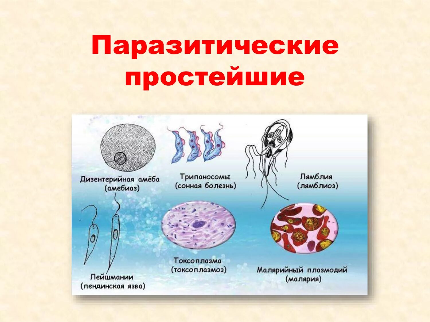 Паразитический стиль жизни