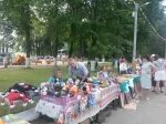 День города медынь