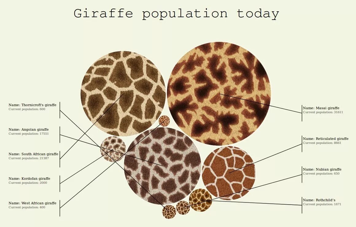 Подвиды Жирафов. Виды окраска Жирафов. Шерсть жирафа. Структура шерсти жирафа.