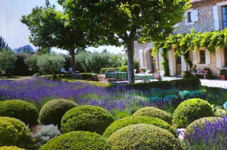 Residential, Contemporary Garden Design in Surrey, Hampshire and the South-East,