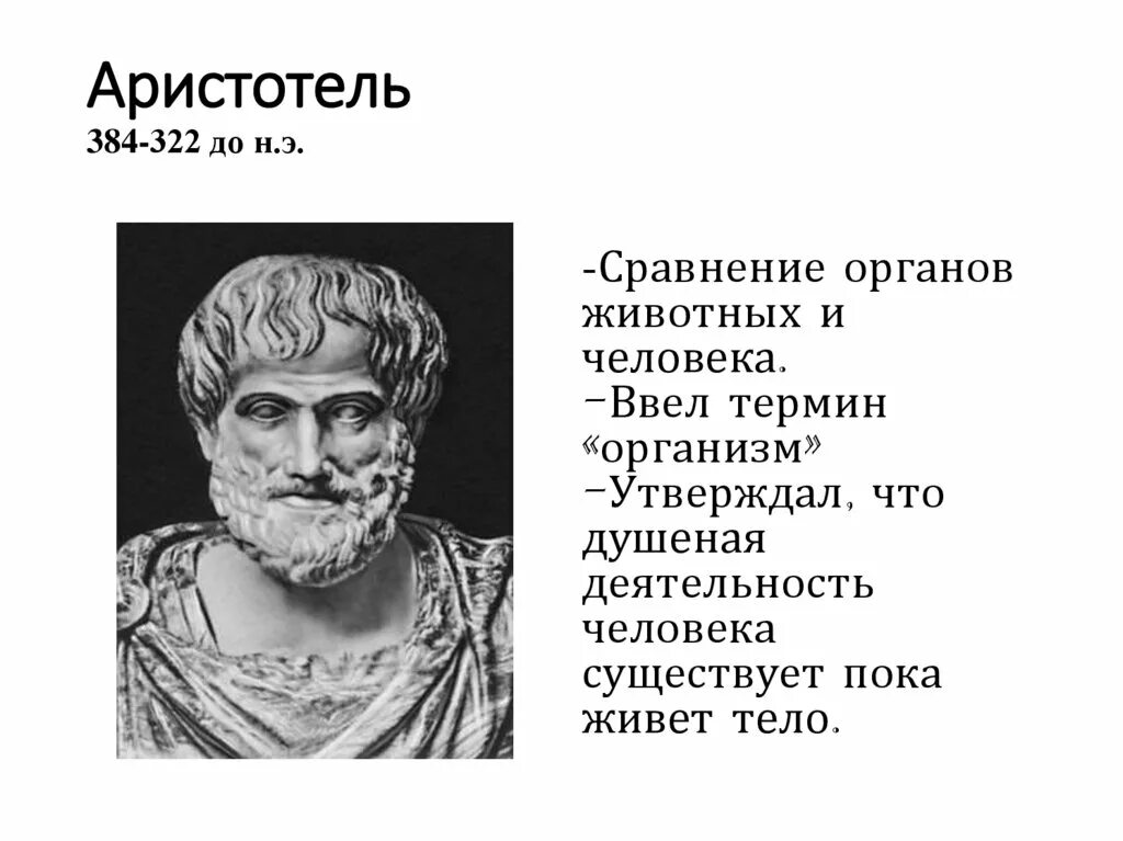 Аристотель является автором трактата. Аристотель (384-322 гг. до н.э.). аристотель (384-322 гг до н эры ) идеи. • аристотель(384 до н. э., стагир — 322 до н. э.). аристотель клавдий.