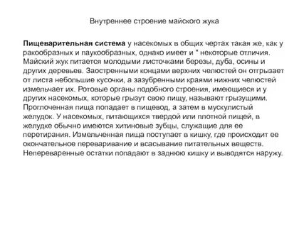 Лабораторная работа по биологии майский жук