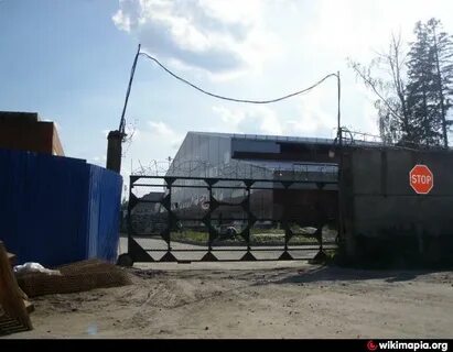 Ломоносов черникова