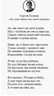 Стихотворение есенина ты не пришла