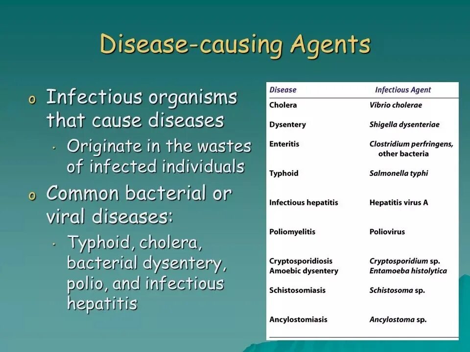 Communicable disease. Infectious agents. Diseases. The causes. Приложение 3. The causative agent.