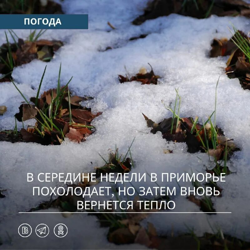 Погода приморск на сегодня. Погода приморск на сегодня