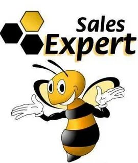 Sales expert