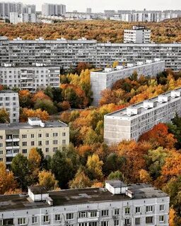 368 лосиный остров