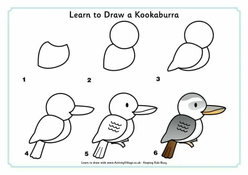 Learn to draw