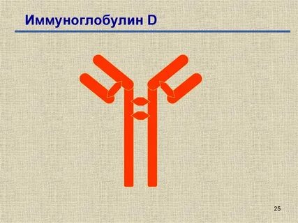 Иммуноглобулин ме