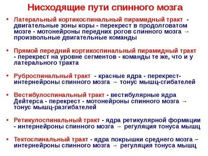 Нисходящие пути