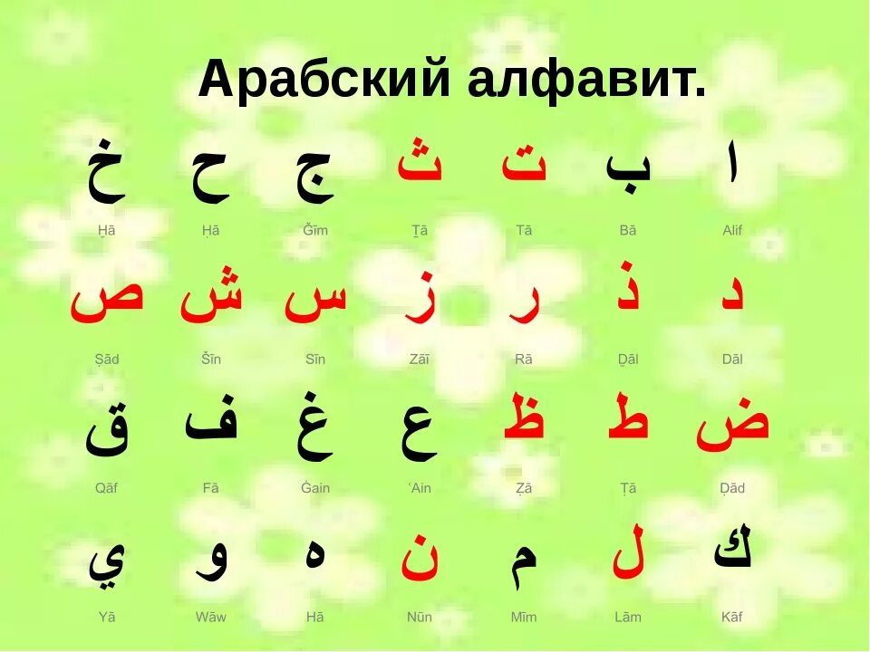 Арабский с нуля изучить