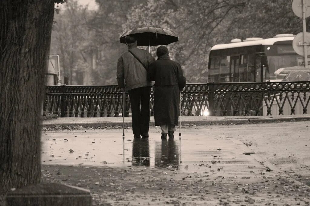 глядеть гулять. прогулки с новорожденным на улице. глядеть гулять. в парке под дождём. прогулка в парке с братом и сестрой.