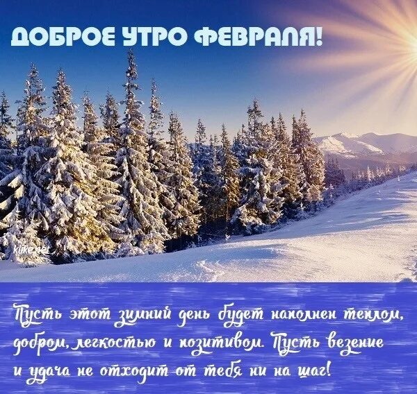 Февраль новая жизнь. Доброе зимнее утро. Пожелания с добрым утром зимние. Доброе декабрьское утро и хорошего дня. Пожелания доброго зимнего утра.