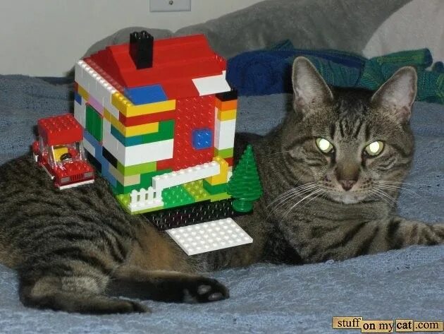 Кубо котики симбочка. Домик для кошки из конструктора.